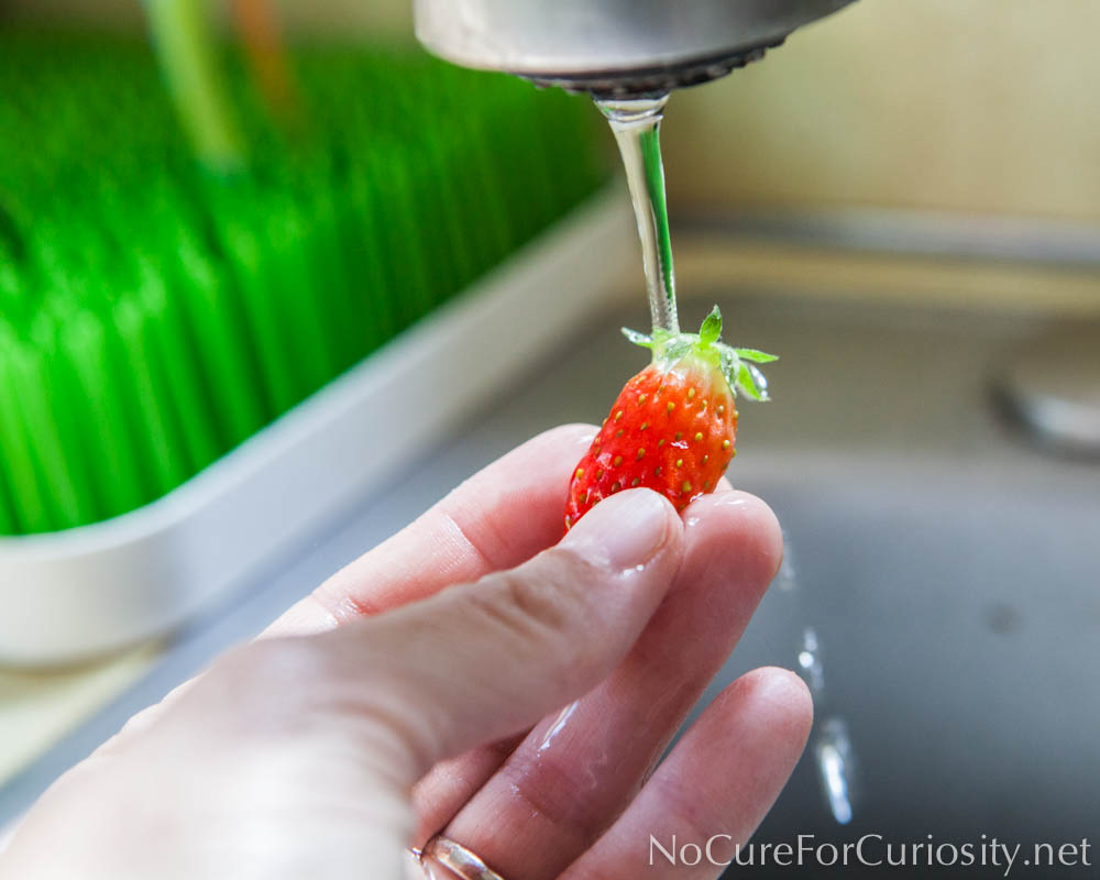 Washing the strawberry
